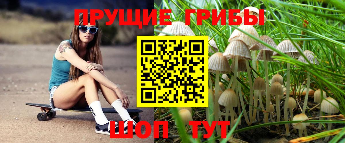 Псилоцибиновые грибы прущие грибы Каменка