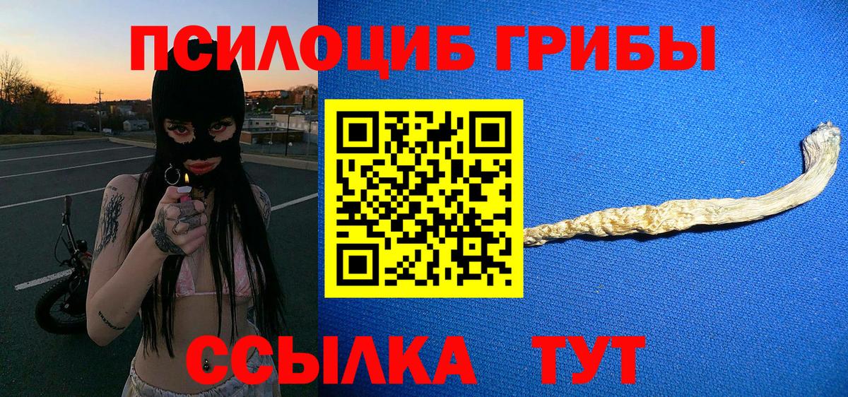 Каменка  Псилоцибиновые грибы прущие грибы  Вход с VPN  Галлюциногенные грибы Magic Shrooms 