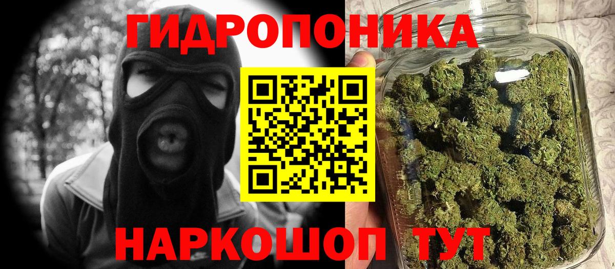 Каменка  Бошки марихуана гибрид  Вход с VPN  Канабис индика 